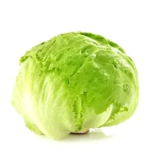 Lechuga
