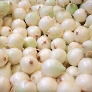 Cebollas - Unidad de cebolla pequeña