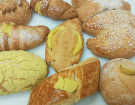 270263060_1342195429577397_1895554781652358822_n